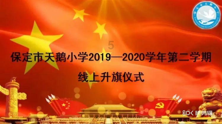 救援小袋熊